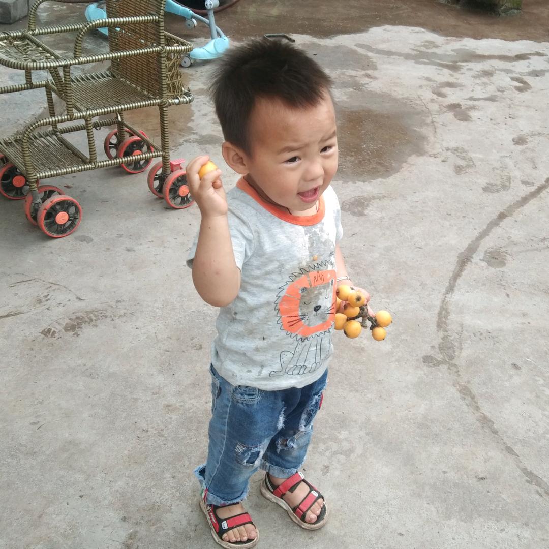 苏昊林