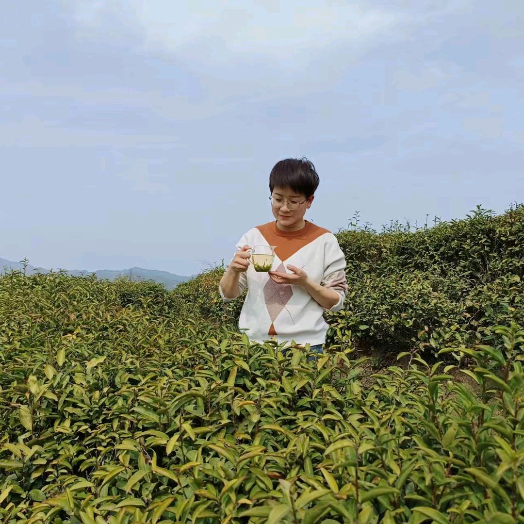 绿阳茶庄王小静