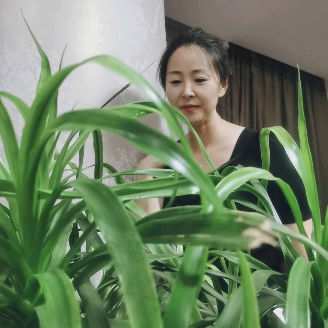 满山花开