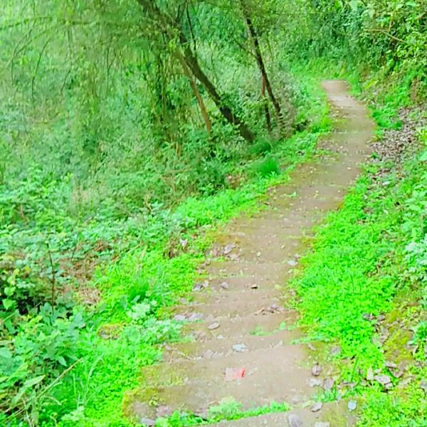 @老胡《困难户》