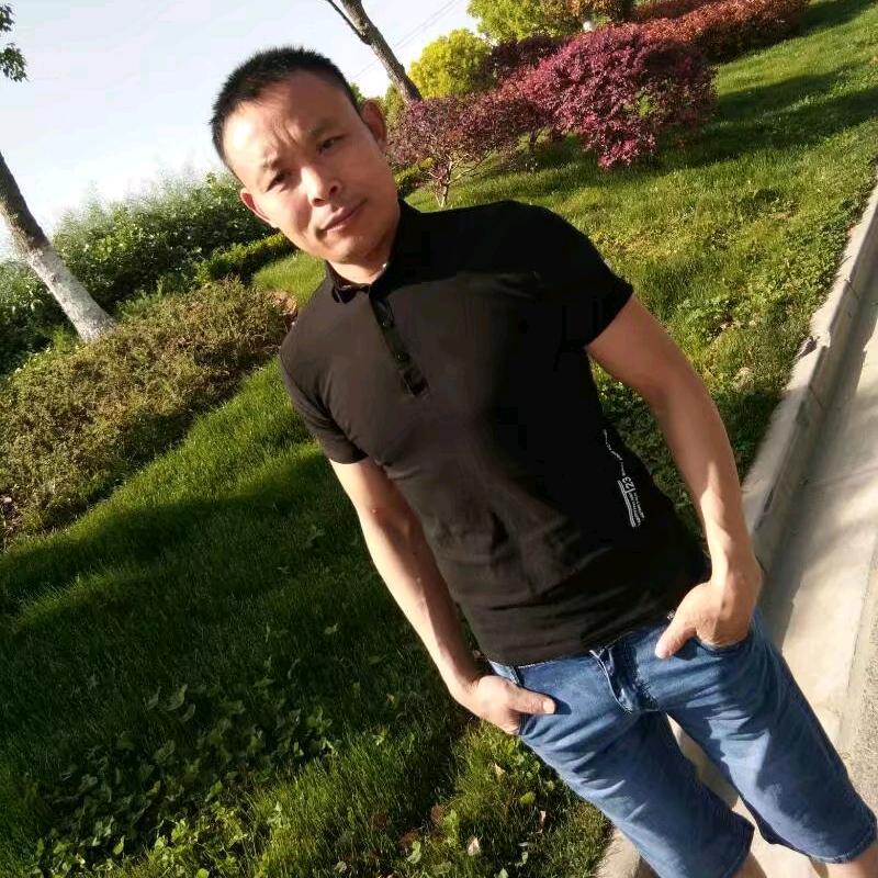 野鹤闲云