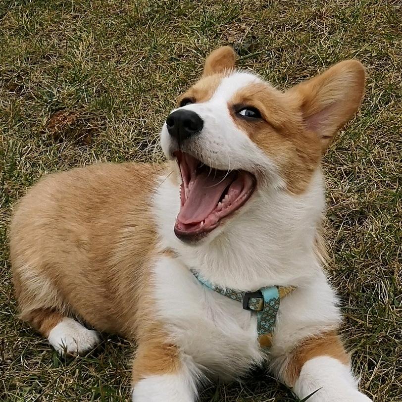 陈***