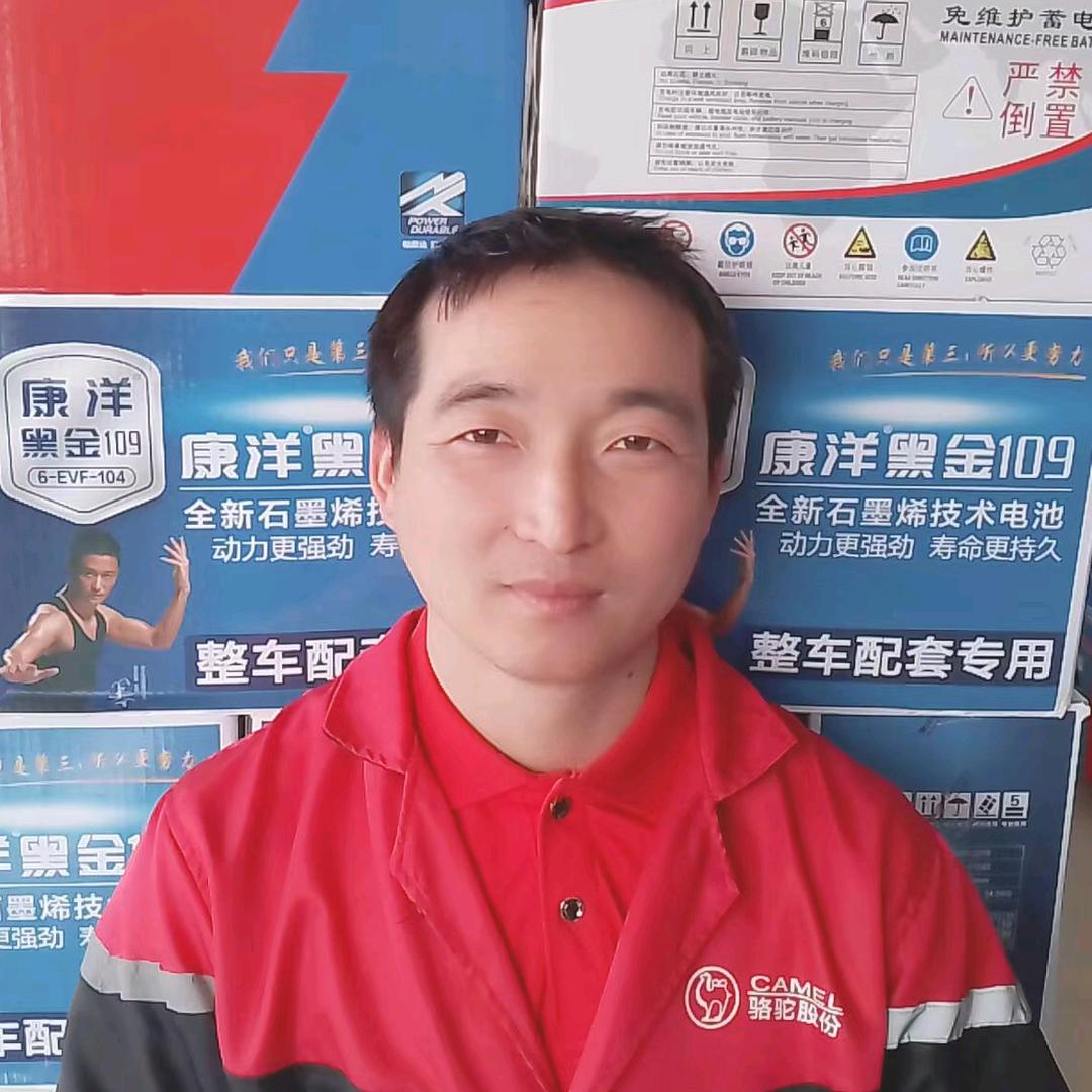 鹿双利批发骆驼电池，康洋电池