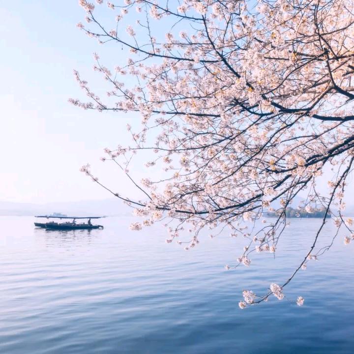 静静1021