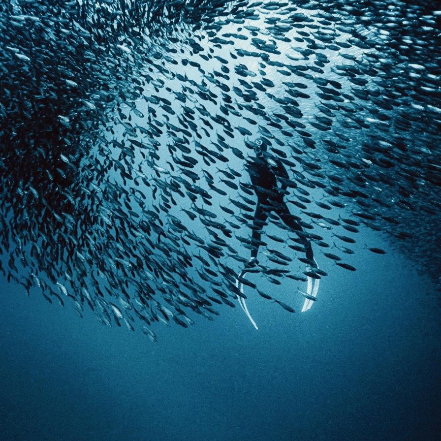 追求自由的杰哥