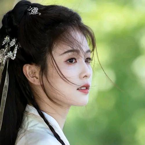 白鹿(忠粉)ヾ(^▽^*)))