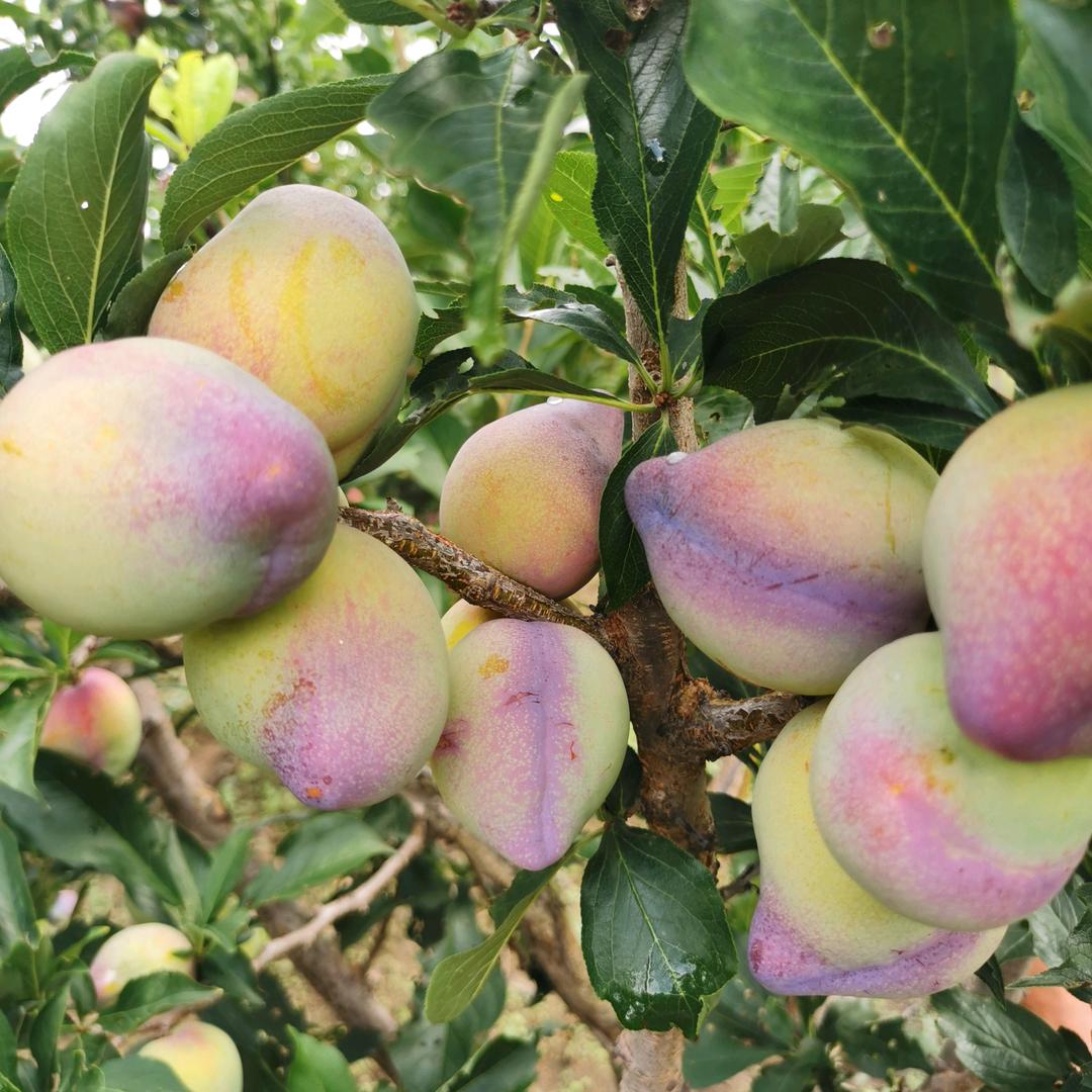 信华生态家庭农场