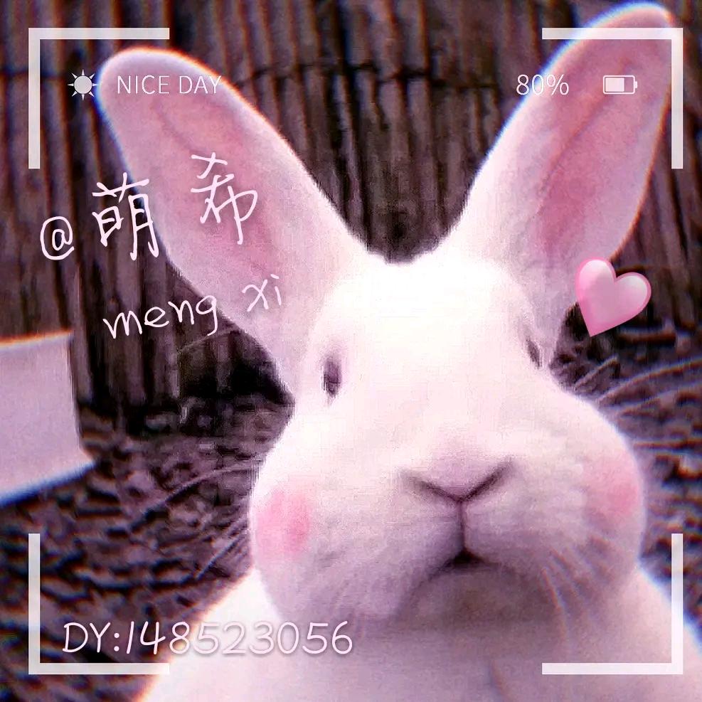 家有四千金