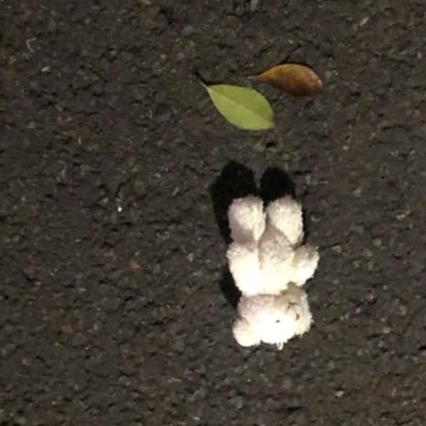 十一楼里十一旧