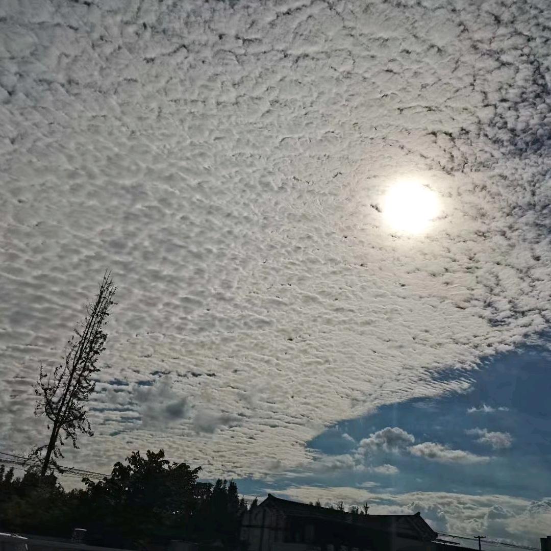 小宝哥