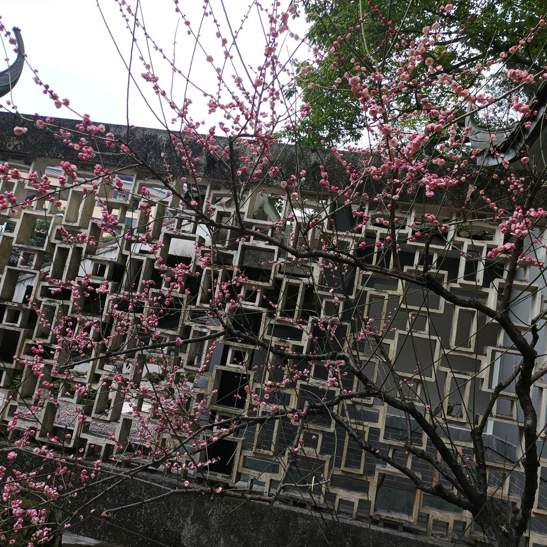 江书芬