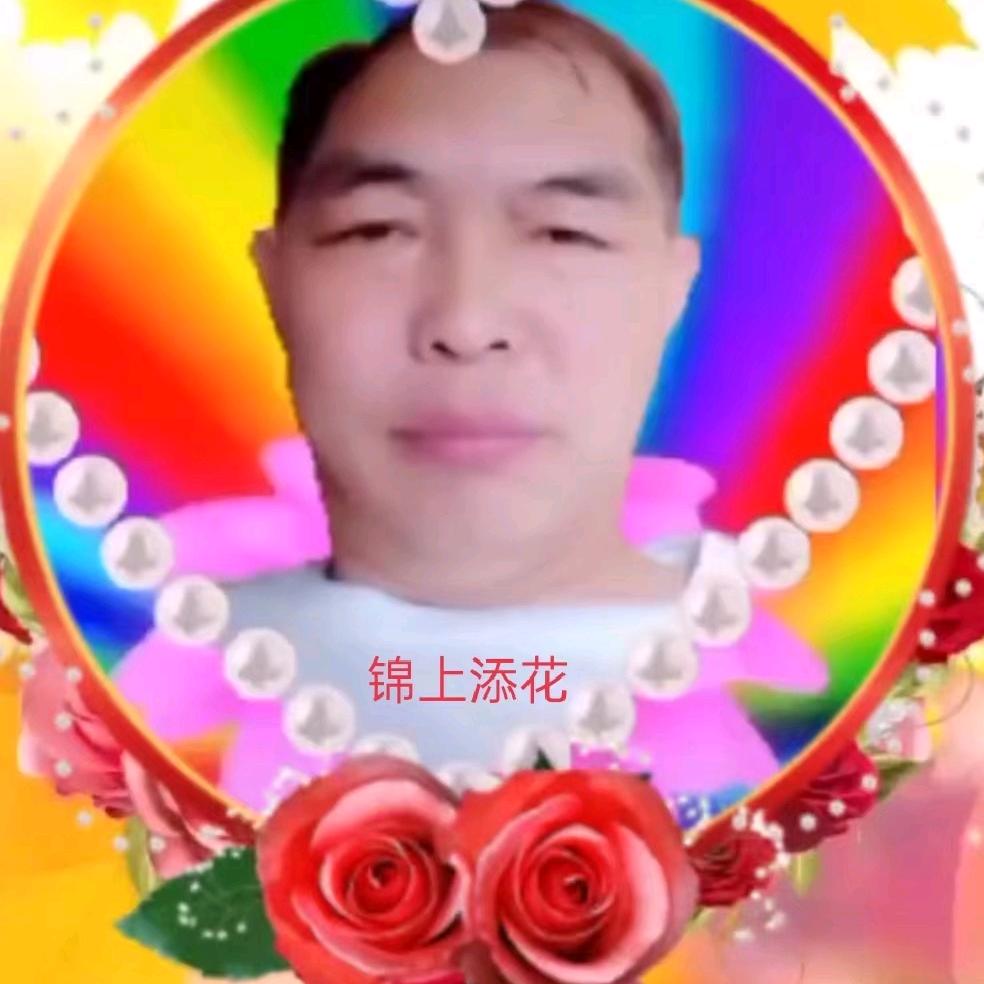 锦上添花🌺沈🌺抖音主号