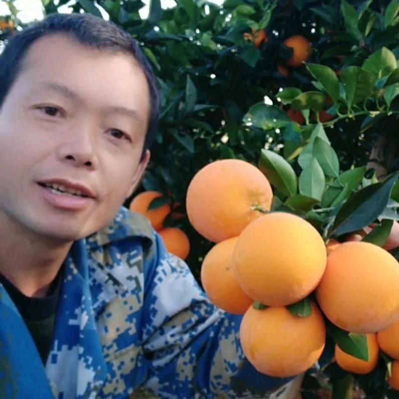 余泽华