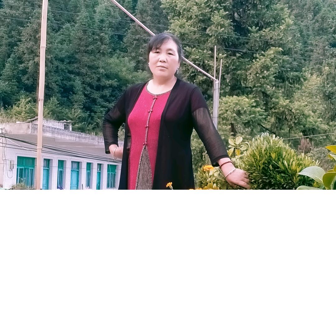 雨后的彩虹