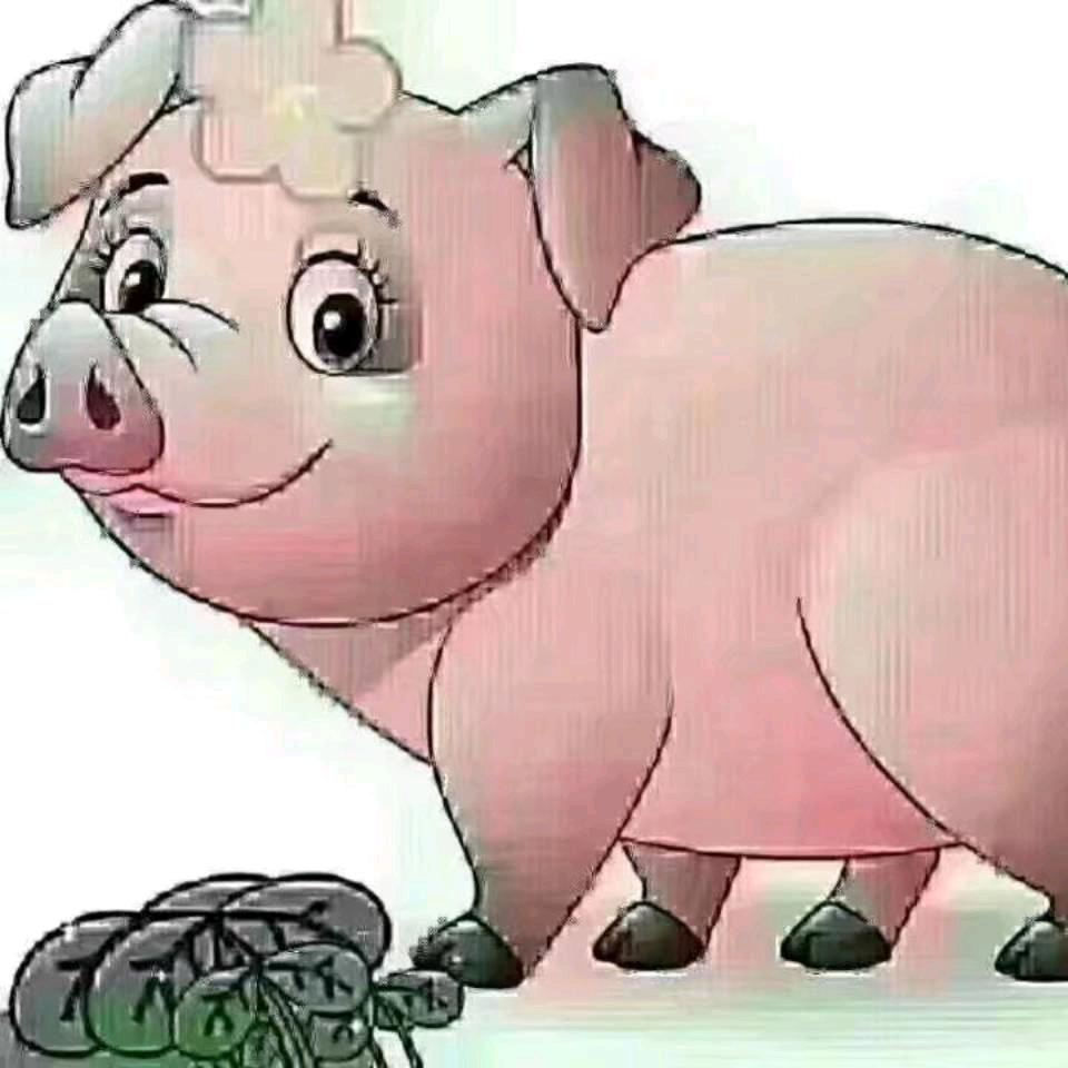 猪☸☸☸🐖🐖🐖🐖🐖🐖
