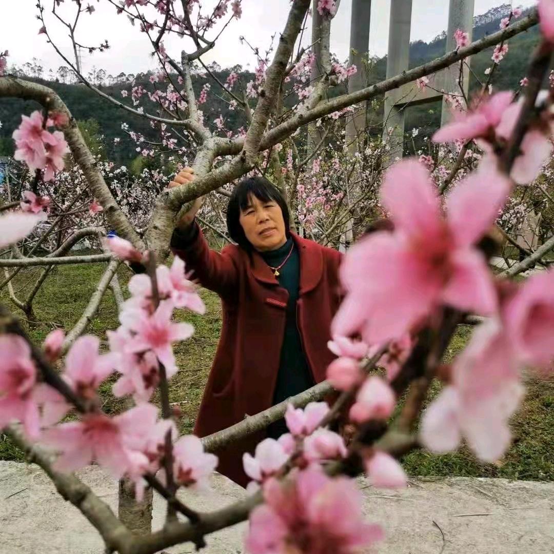 隆美广场舞