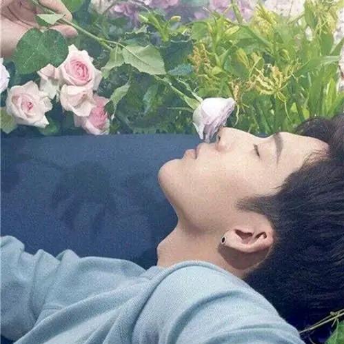 新美男♥嫁到♥求关注