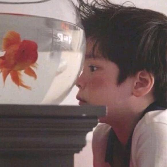 🌈🌈允我心安🐬