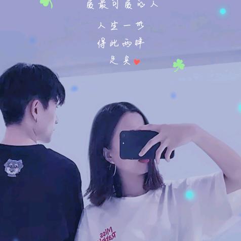 盛世玫瑰