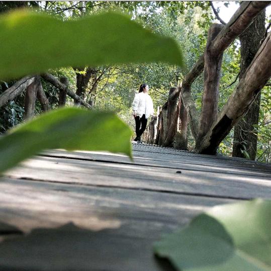 山珍爱上牛肉小马