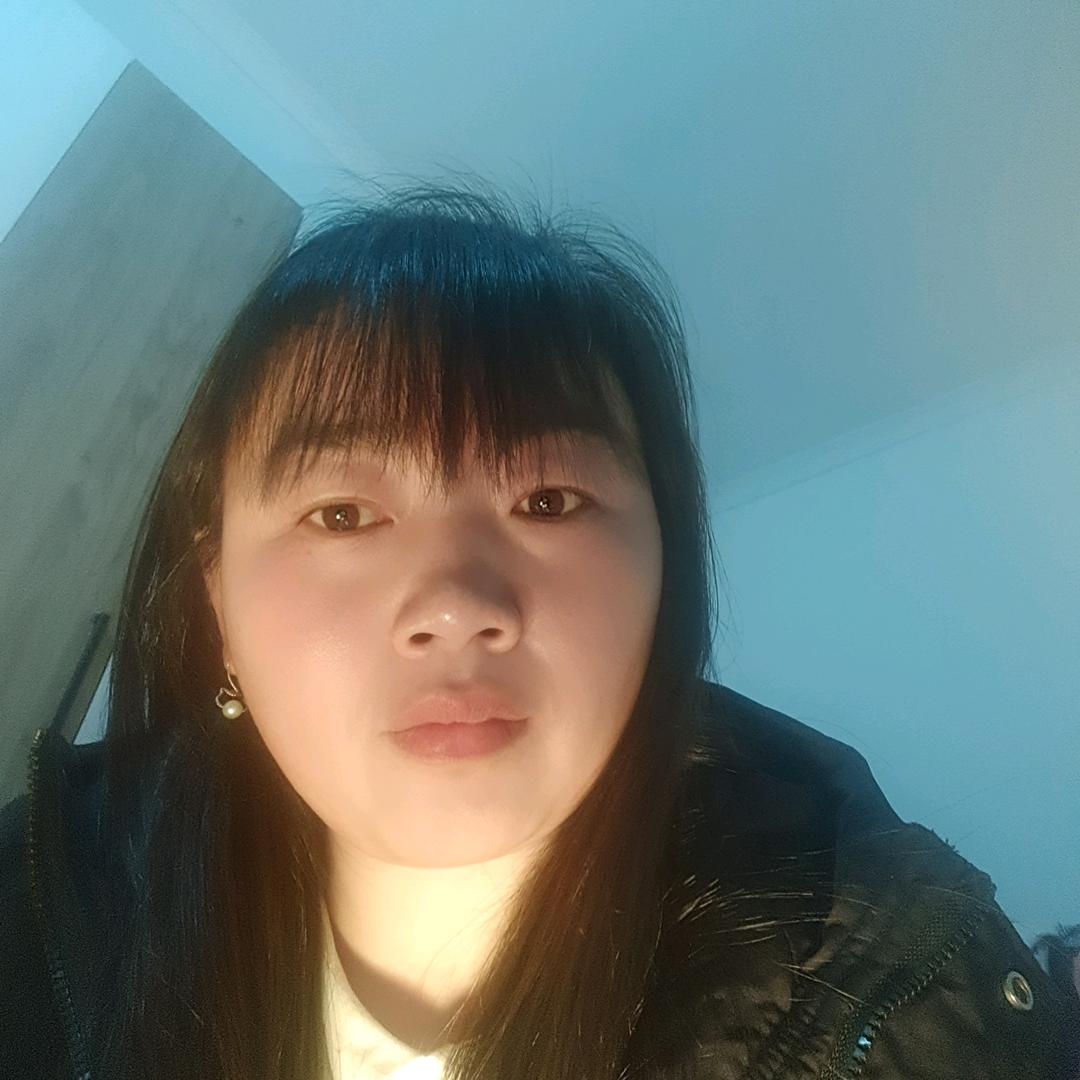 琴