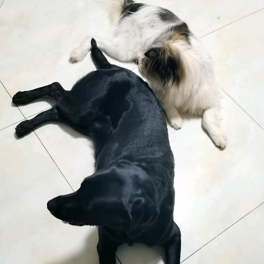 AAAAA五金批发王姐