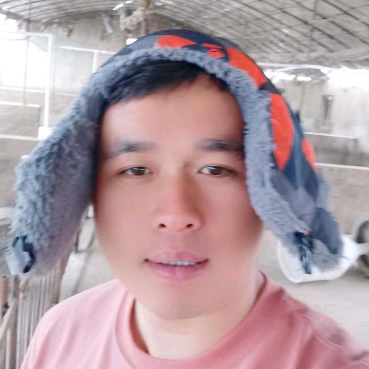 养猪滴《小雷子》