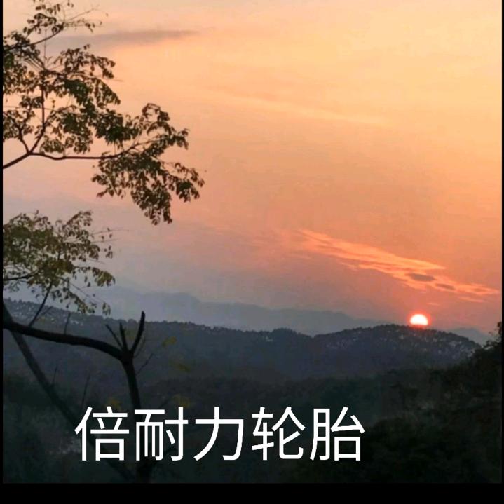 祁阳倍耐力