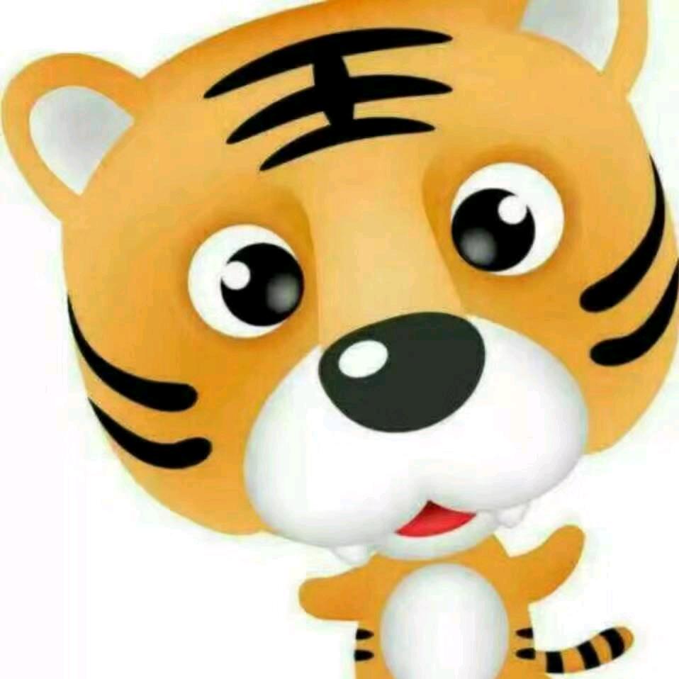 🐯虎哥🐯