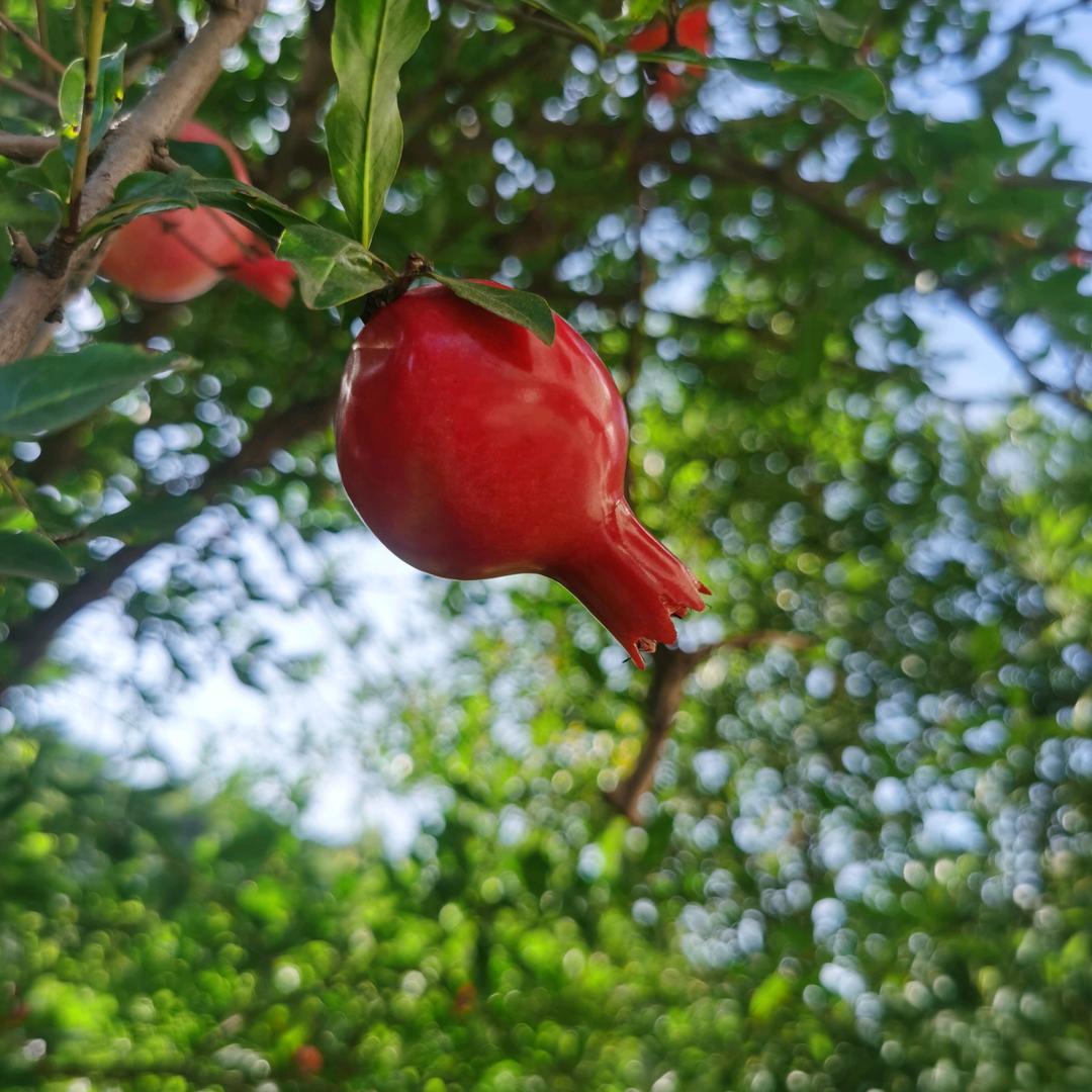 义乌市天狼电子商务有限公司企业店