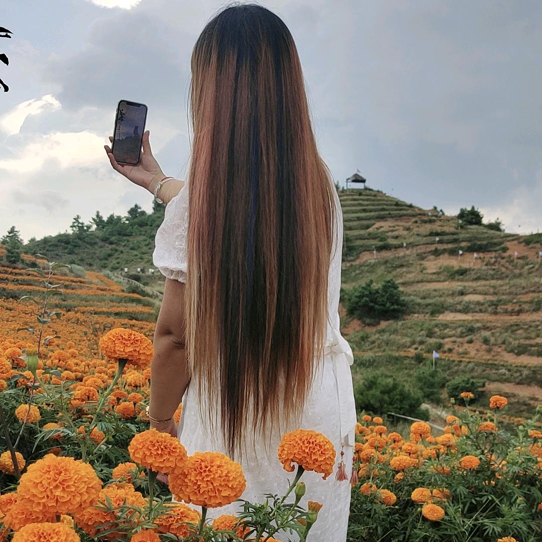 云南山歌小燕子