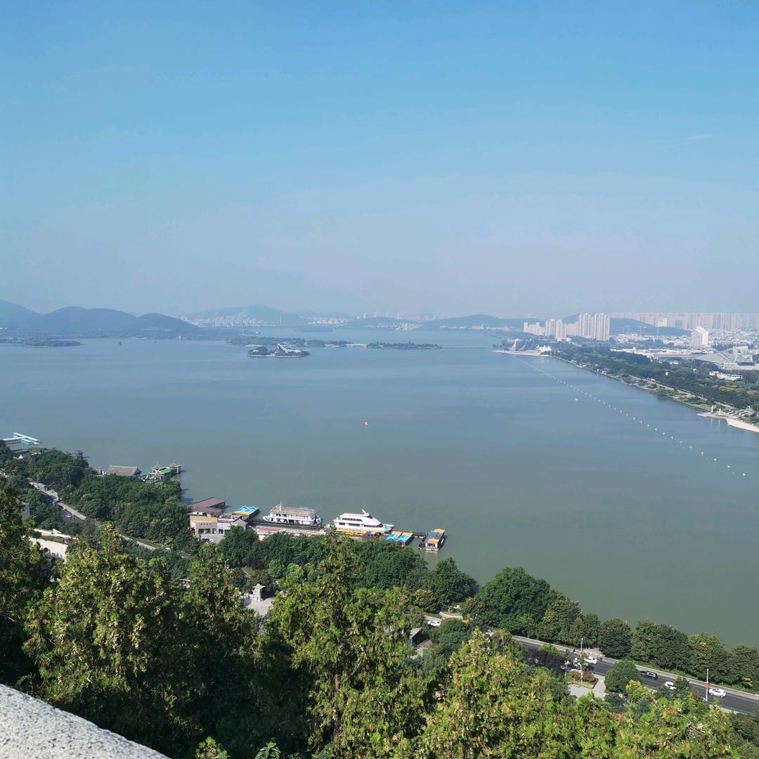 松间鹤