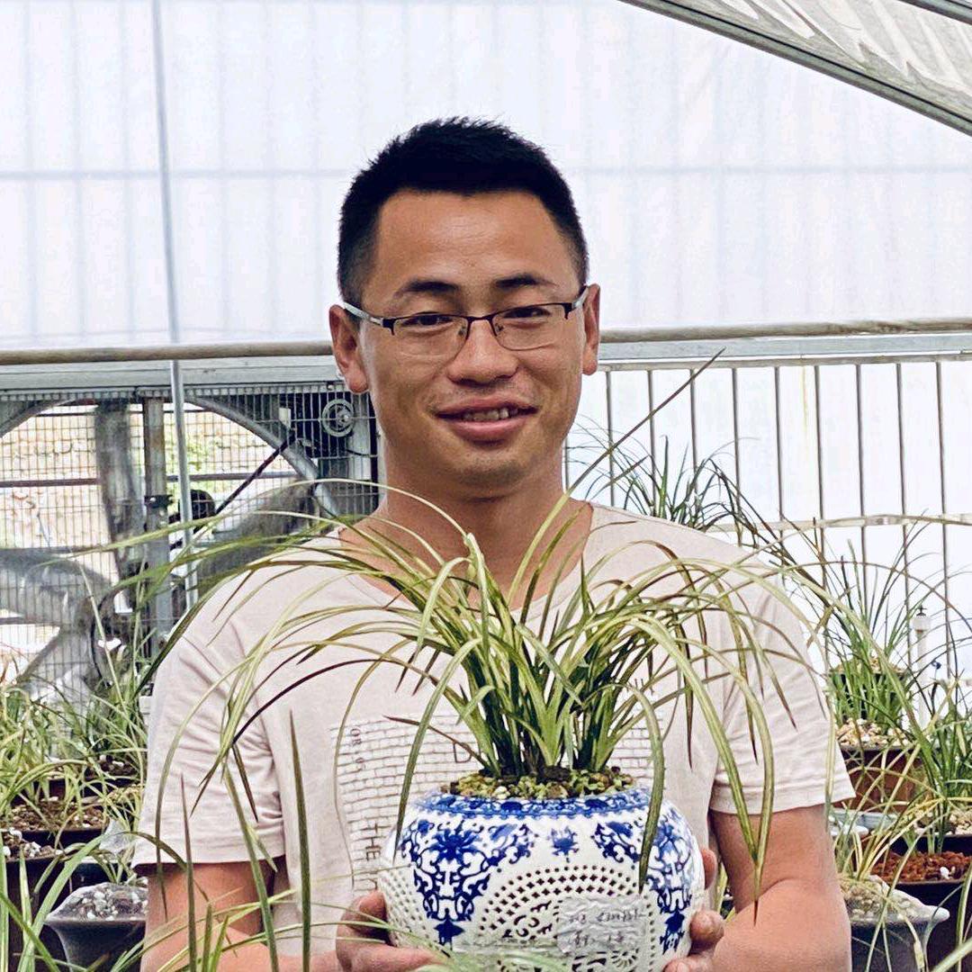 随州兰花小妹