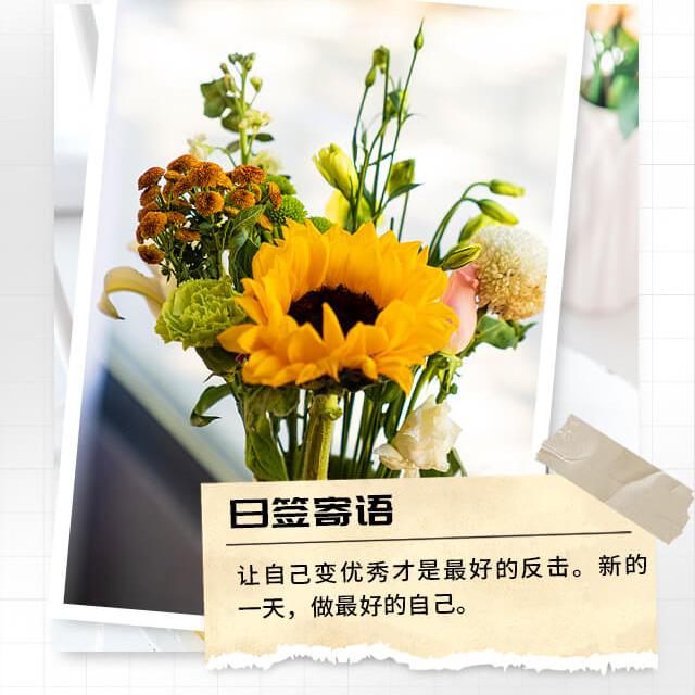 莒北月圆