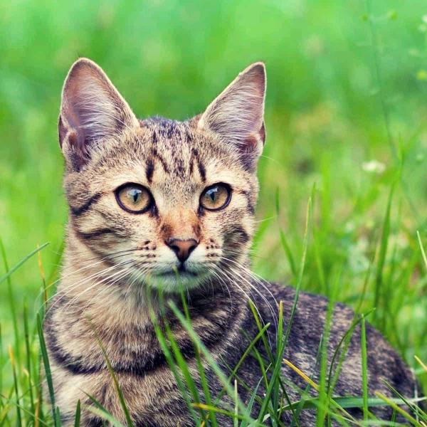 刘造进（结哥）