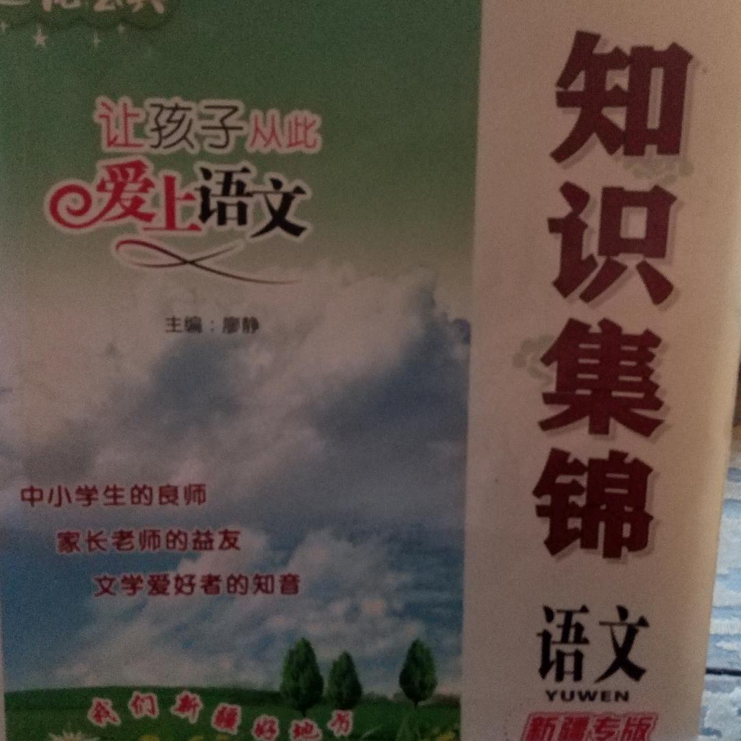 领哥🌴🍀