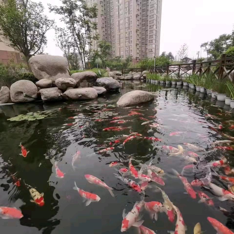 一学无止境一