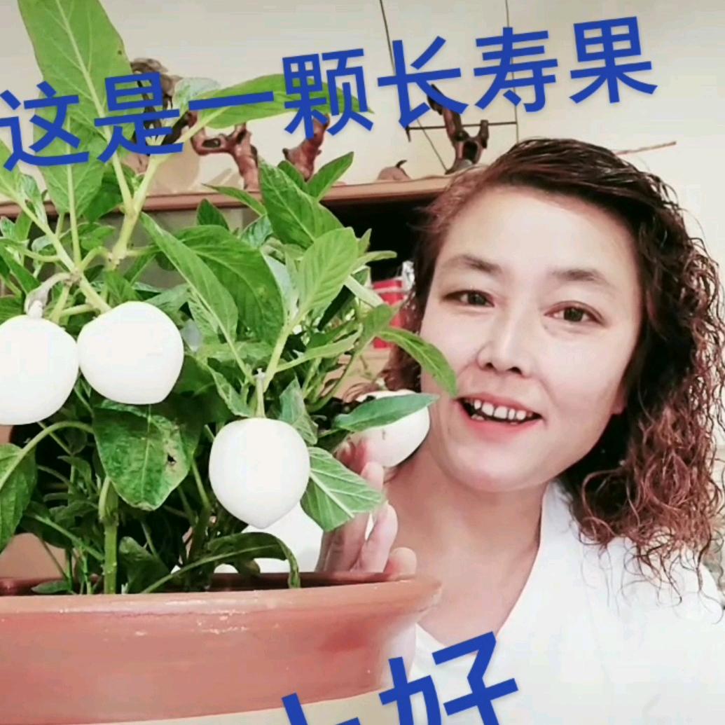 笑迹天涯灬
