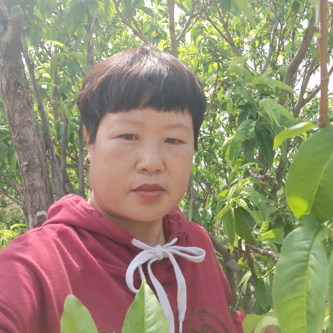 玲姐日常生活