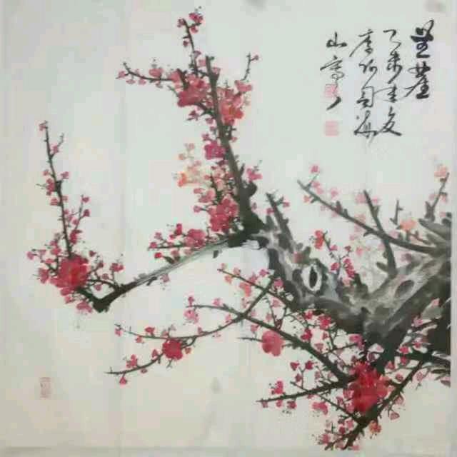 顺哥哥