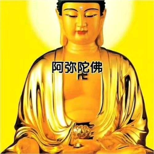君临天下