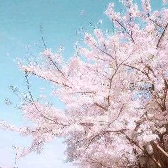 ningde76328
