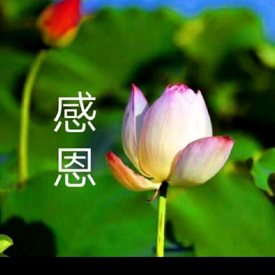 爱与光守一