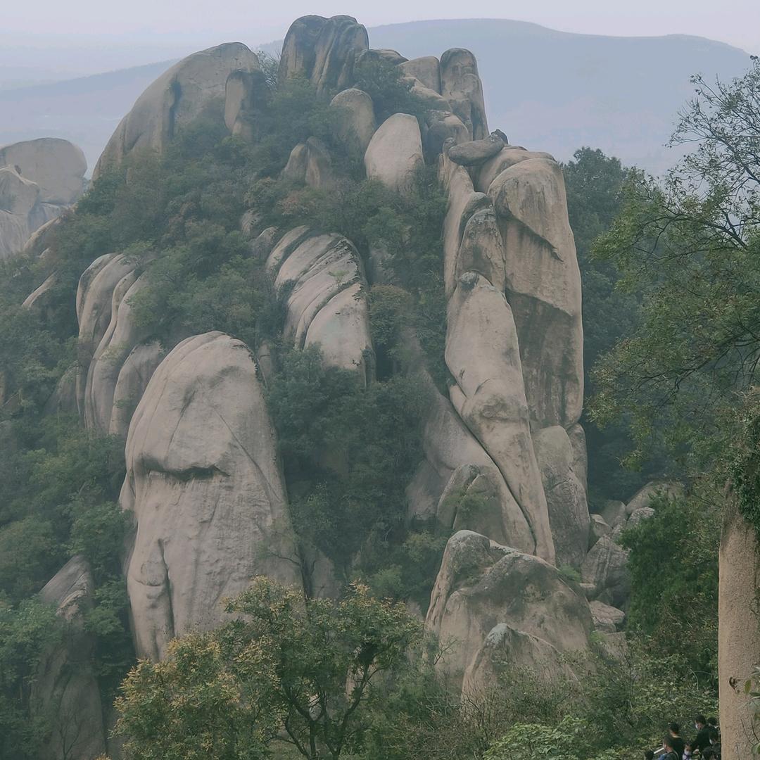 丰年云有瑞