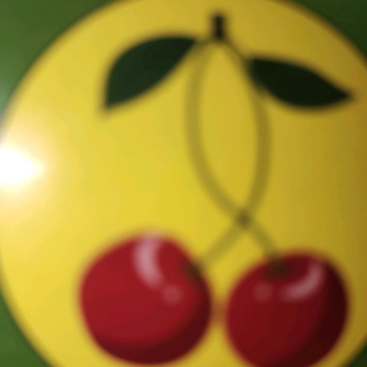 沙漠蒲公英