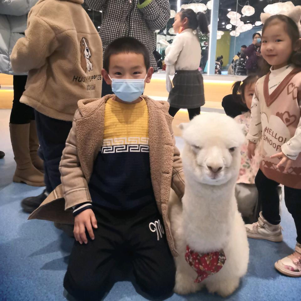 与你相冯细水长刘