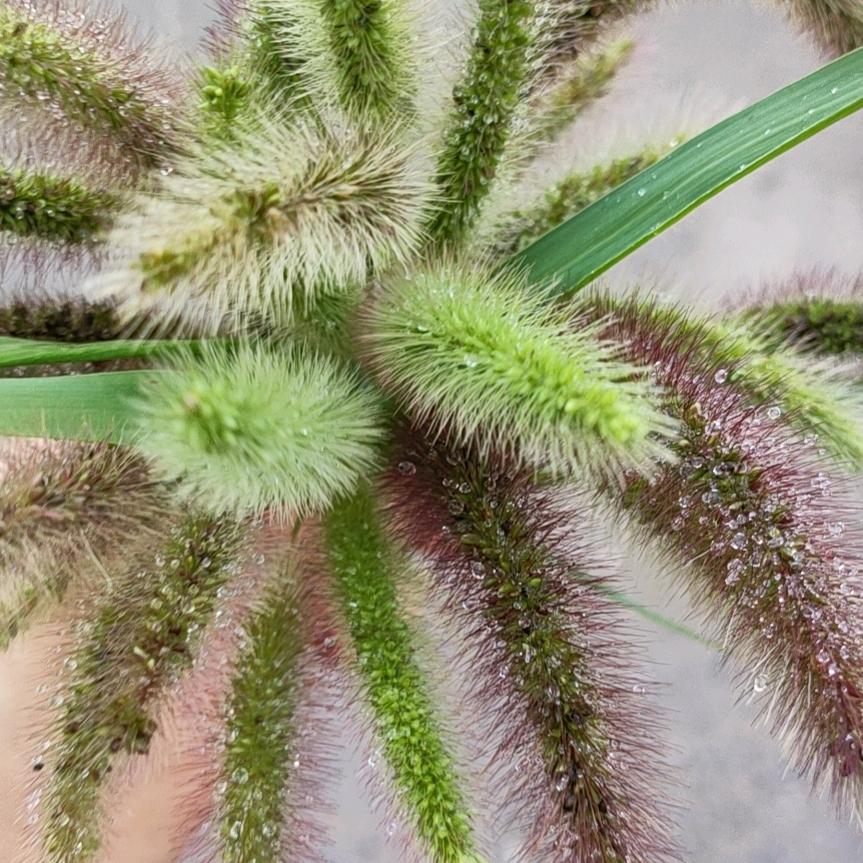 阳光（拒私聊）