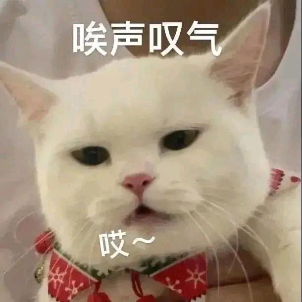 阿玥