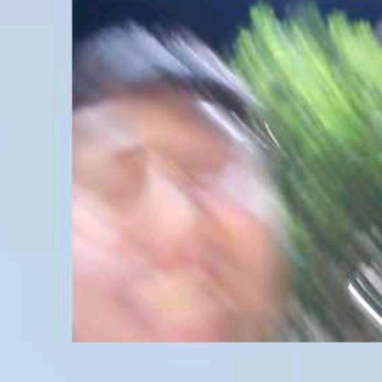 画画人