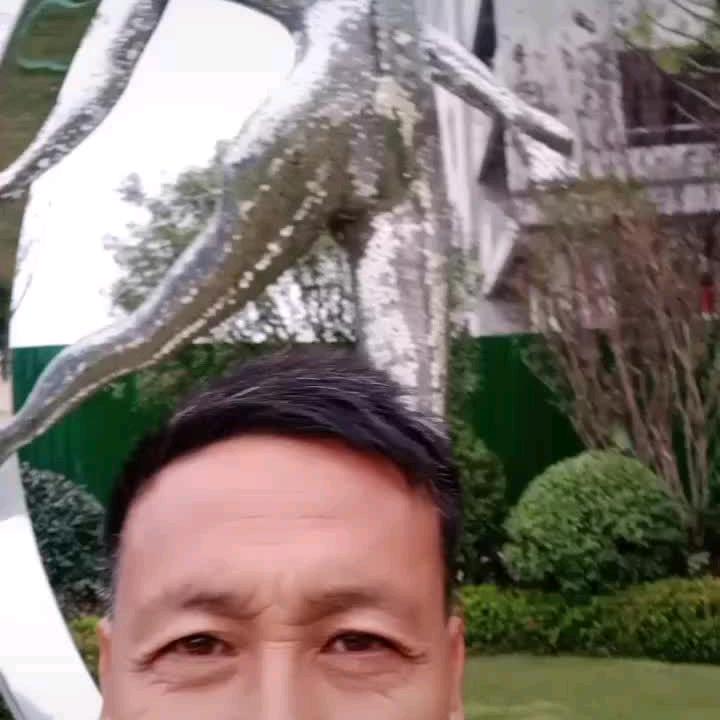 坚持就是胜利加油